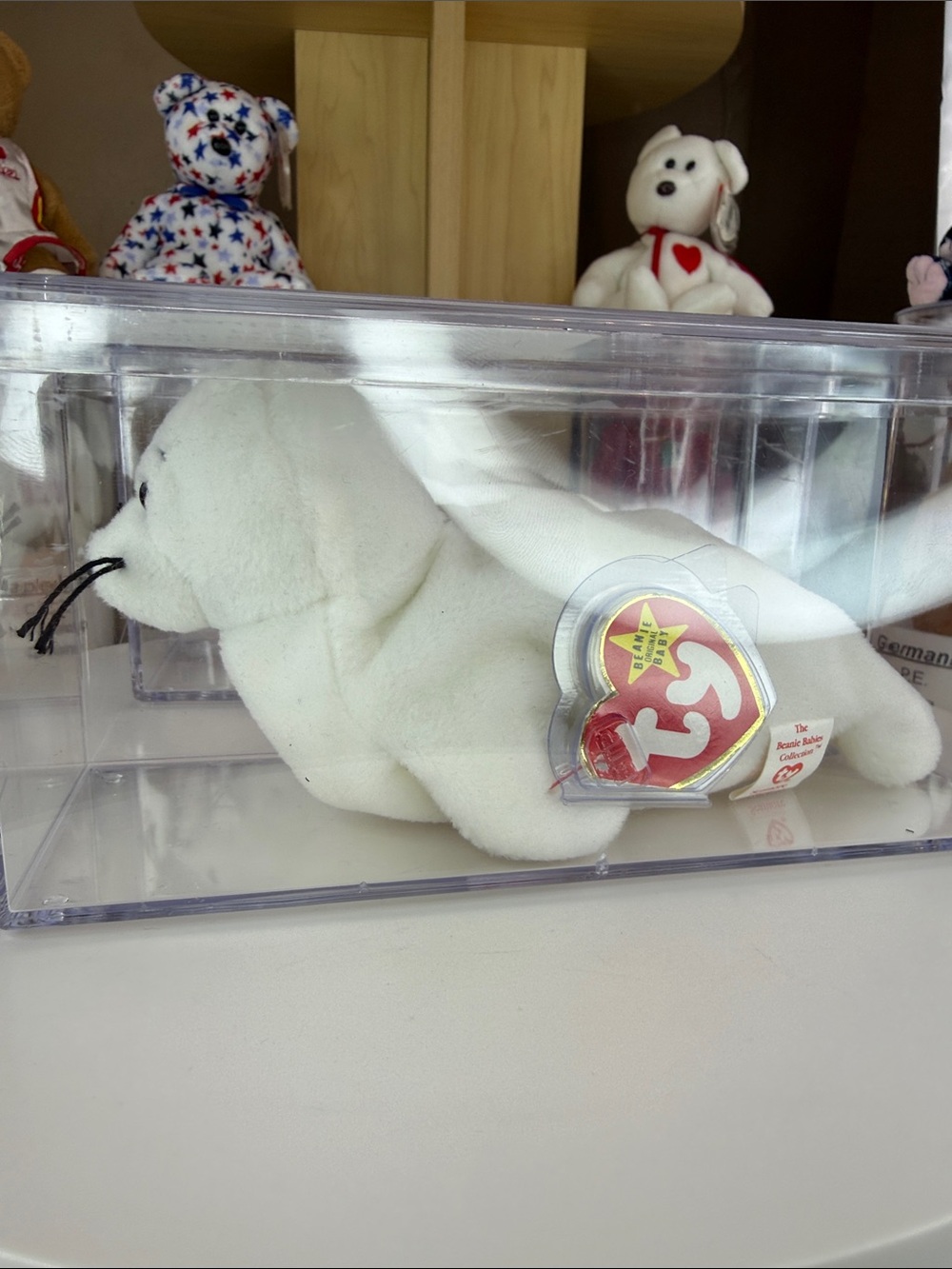 💥MWMT 3rd Gen & 4th Gen - SEAMORE BUNDLE W/ DISPLAY CASES - Picture 7 of 9